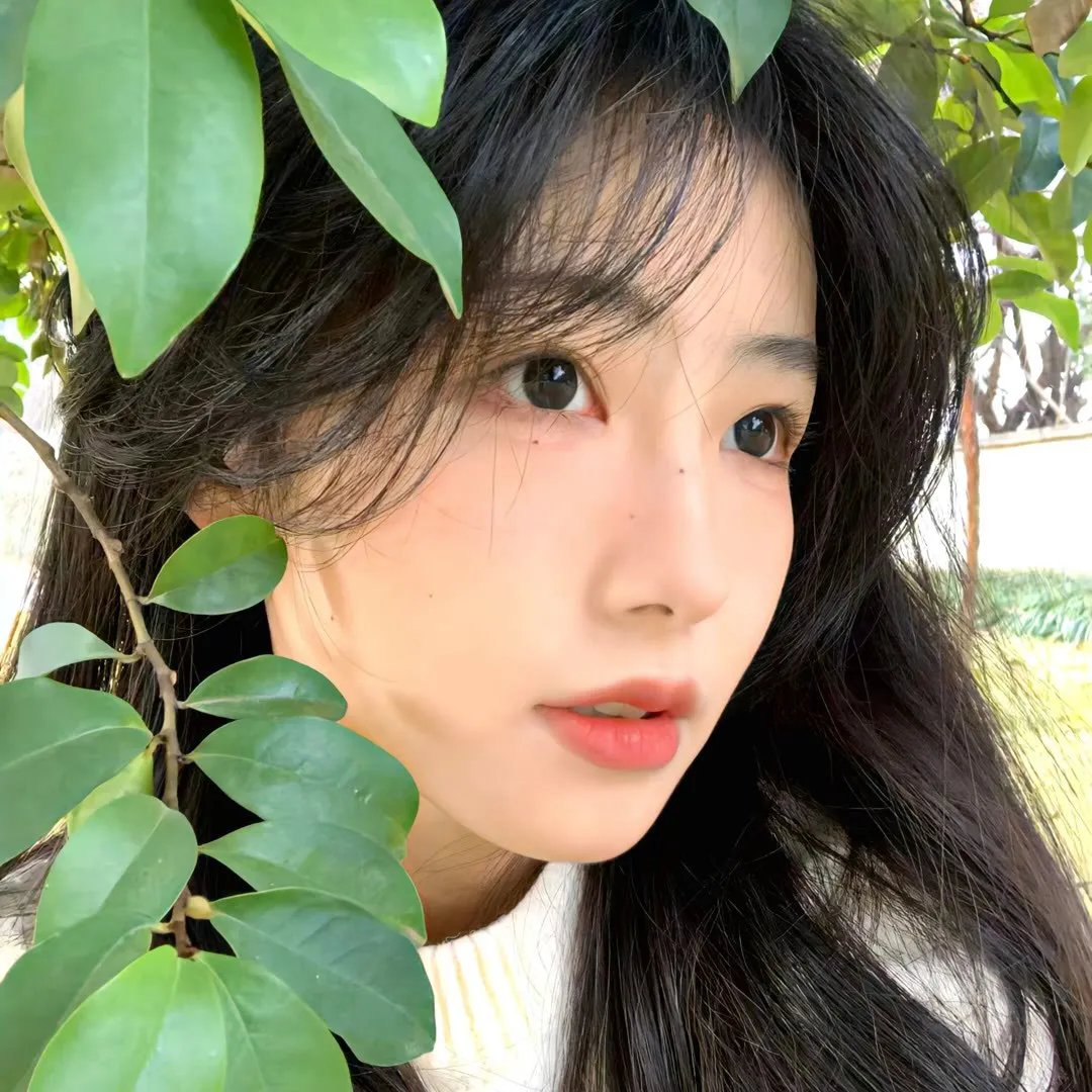 暗街花